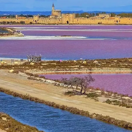 Escapade Cotiere Au Grau Du Roi Appartement *