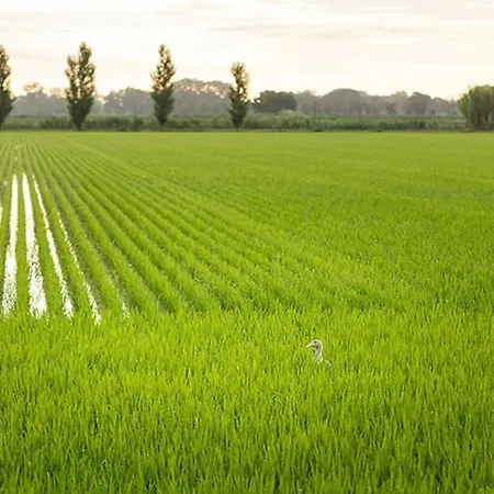 Escapade Cotiere Au Grau Du Roi *